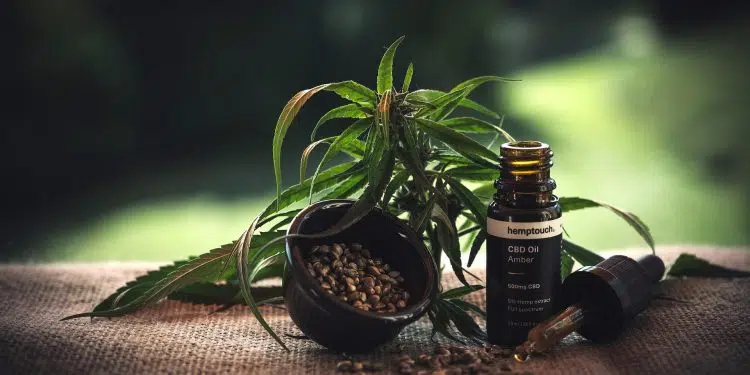 Pourquoi consommer du CBD en gélule ?