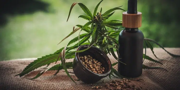 Quels sont les bienfaits de la résine de CBD ?