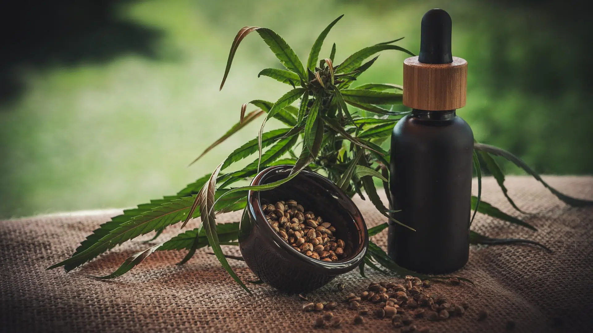 Quels sont les bienfaits de la résine de CBD ?